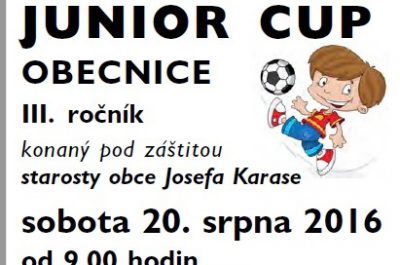 Junior Cup